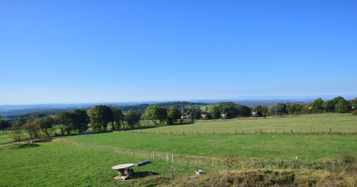 Archiv Foto Webcam Panoramablick Vogelschmiede auf der Herchenhainer Höhe