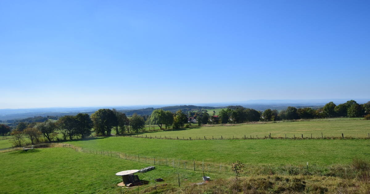 Archiv Foto Webcam Panoramablick Vogelschmiede auf der Herchenhainer Höhe