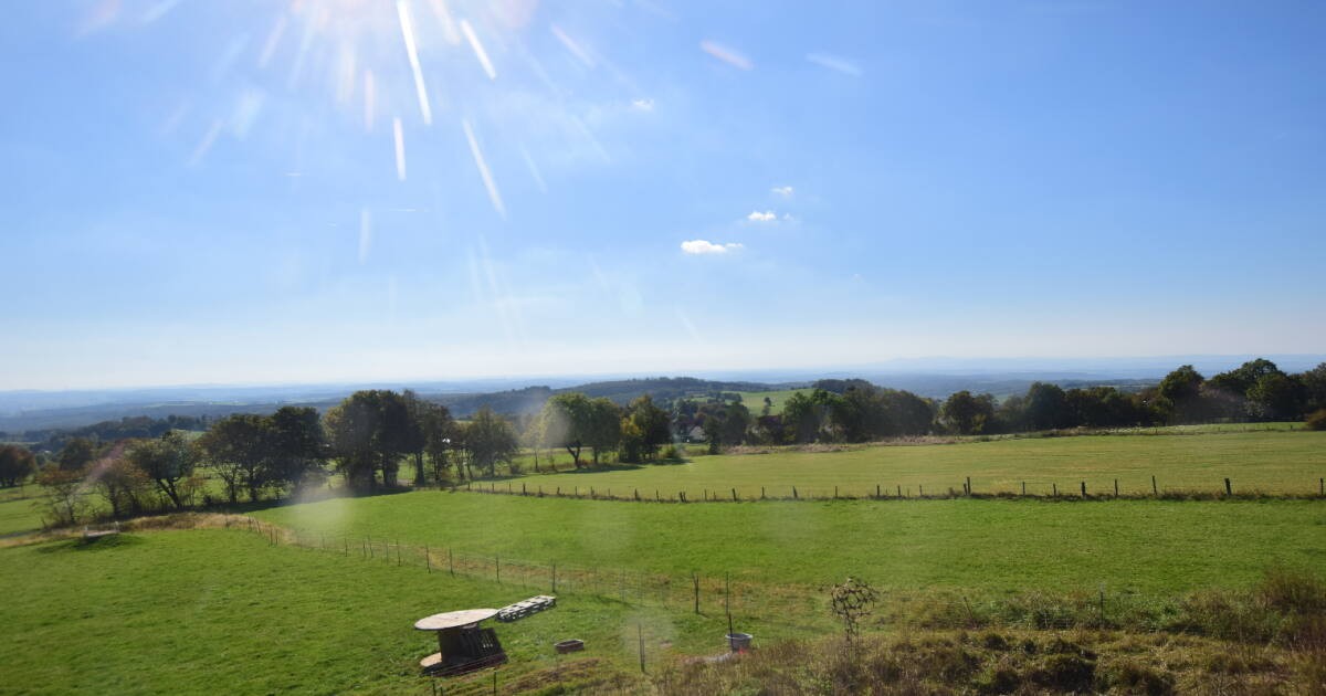 Archiv Foto Webcam Panoramablick Vogelschmiede auf der Herchenhainer Höhe