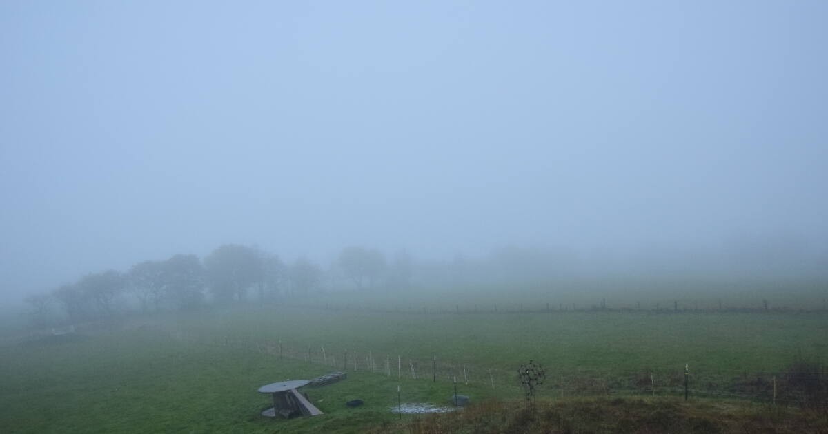 Archiv Foto Webcam Panoramablick Vogelschmiede auf der Herchenhainer Höhe