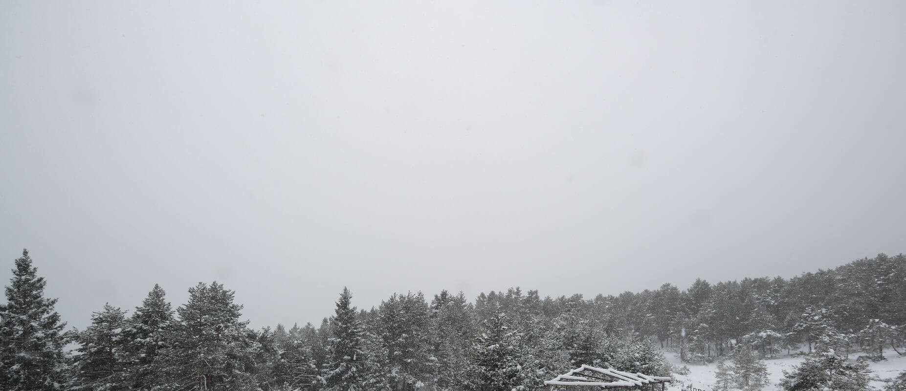 Archiv Foto Webcam Tarrenz - Blick vom Kappakreuz auf Imst