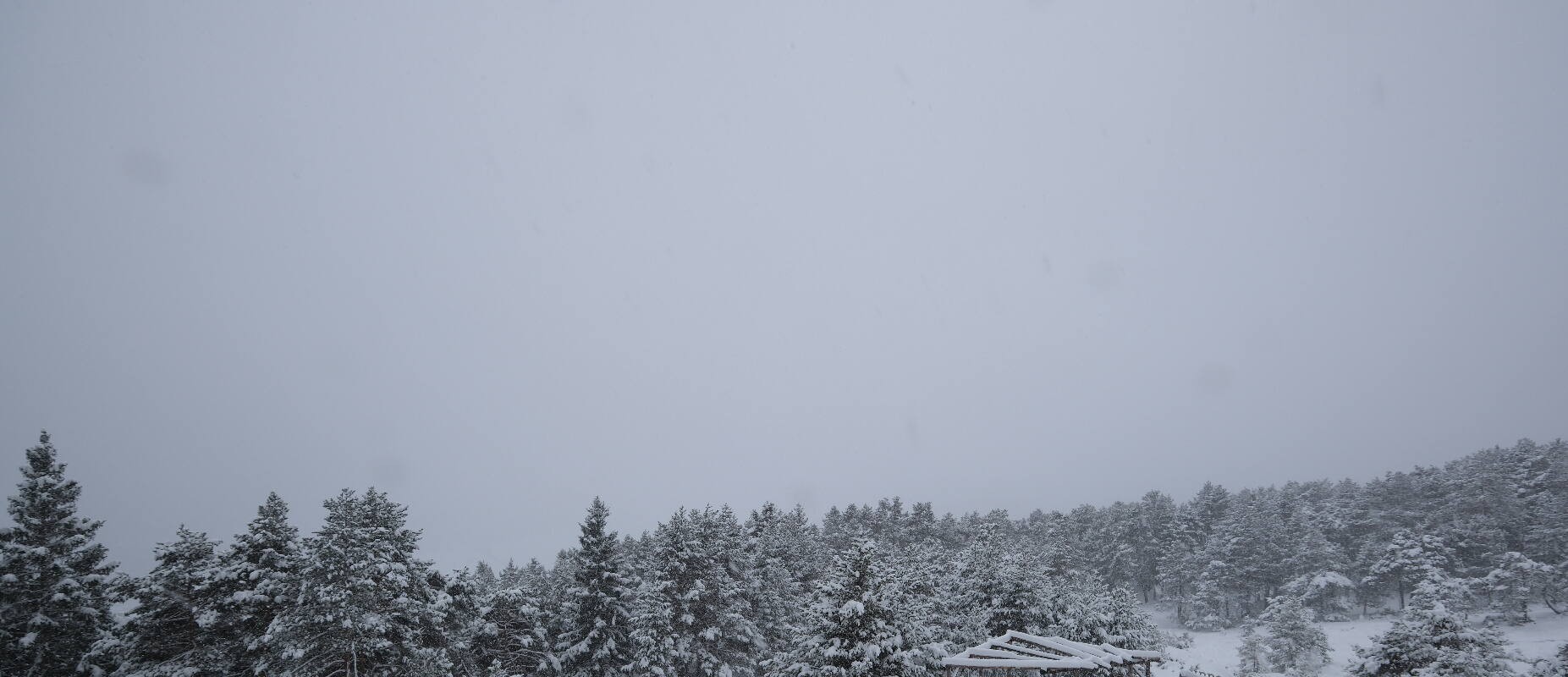 Archived image Webcam Tarrenz - View from Kappakreuz to Imst