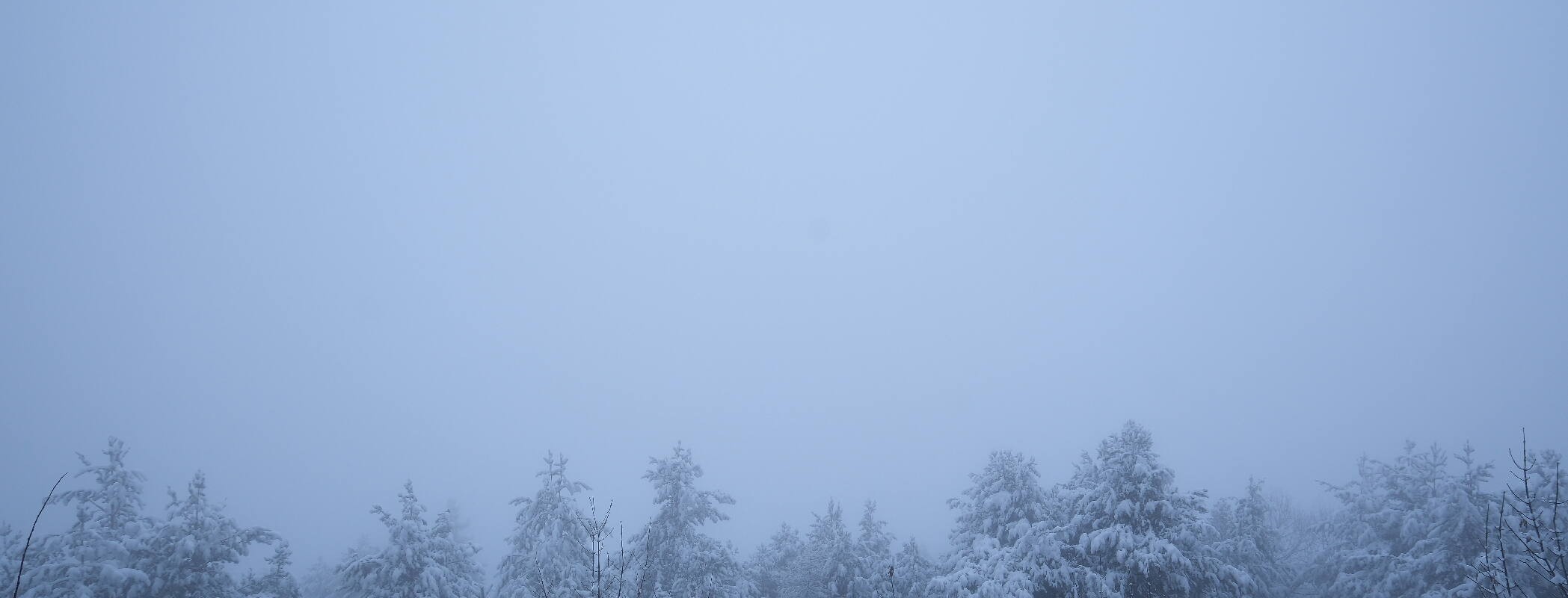 Archiv Foto Webcam Aussichtsplattform Nassereith