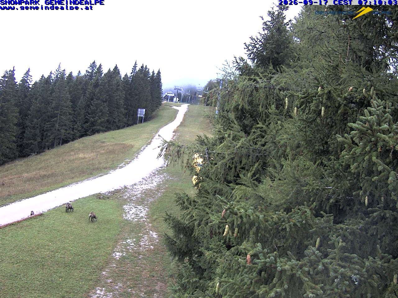 Archiv Foto Webcam Mitterbach - Gemeindealpe Snowpark