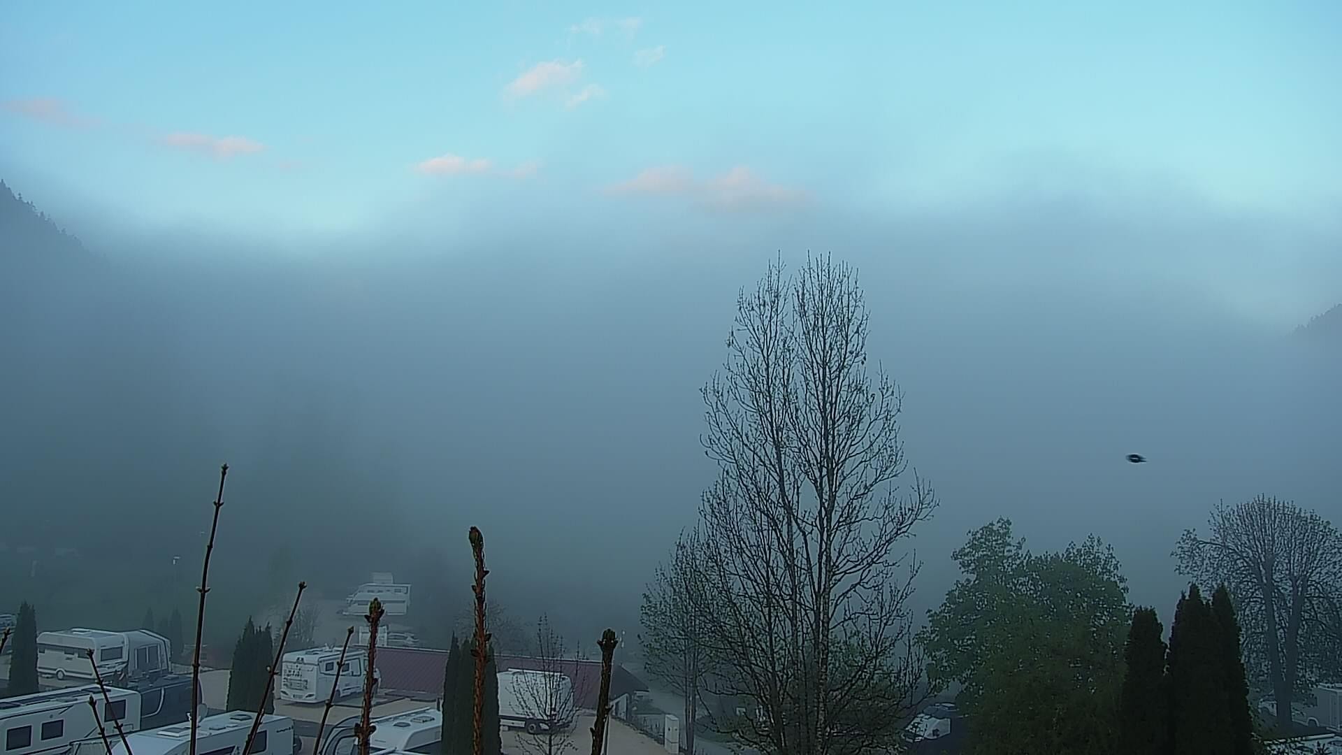 Archiv Foto Webcam Campingplatz Allweglehen bei Berchtesgaden