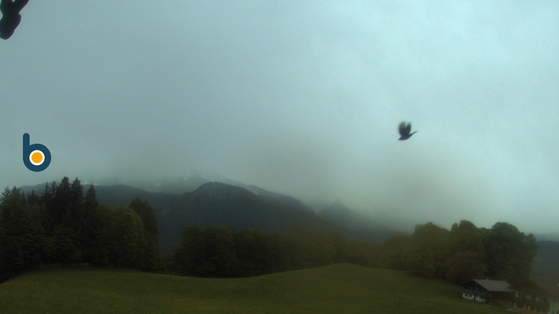 Archiv Foto Webcam Obersalzberg - Ferienwohnungen Renoth