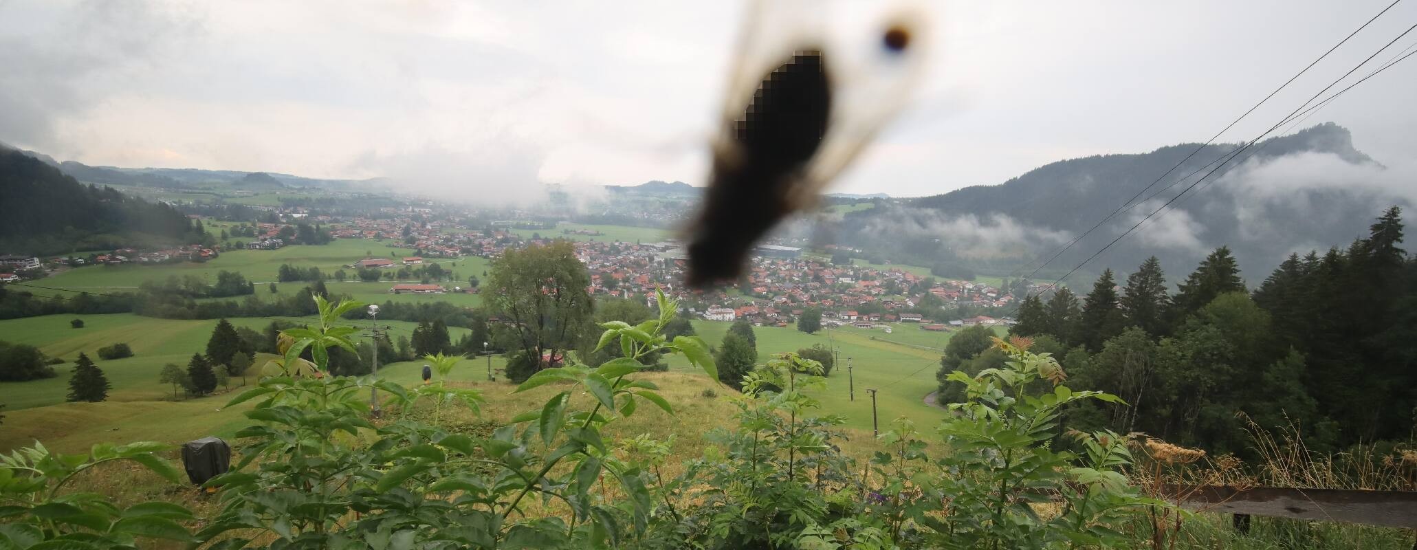 Archiv Foto Webcam Pfronten - Skizentrum