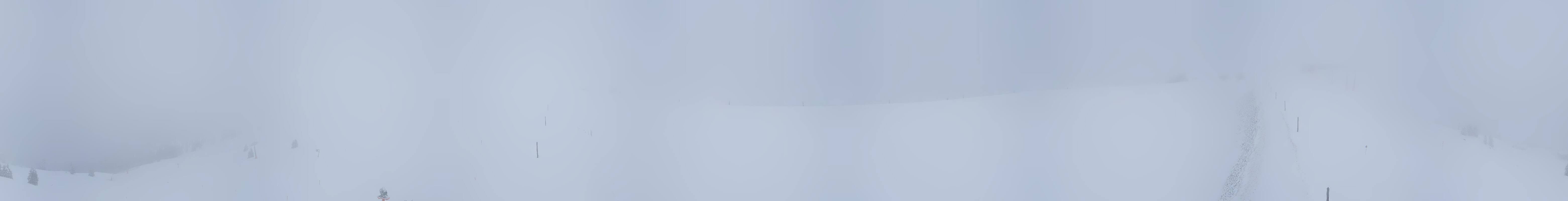 Archiv Foto Webcam Leogang - Ausblick vom Großen Asitz