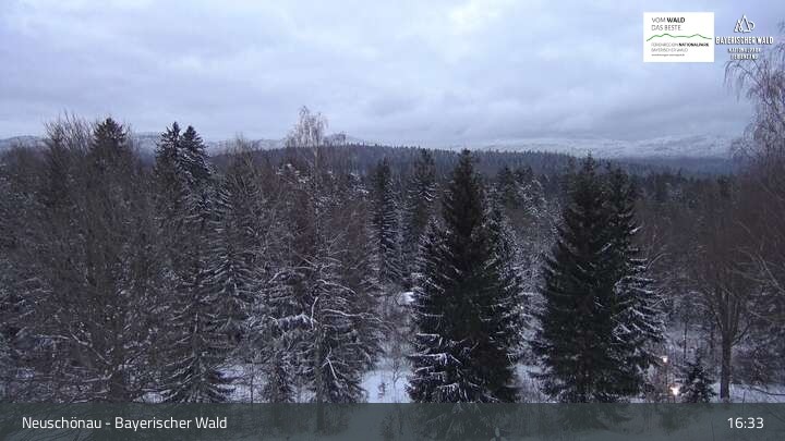 Archiv Foto Webcam Neuschönau - Besucherzentrum Nationalpark Bayerischer Wald