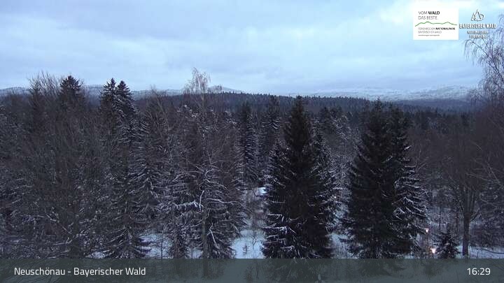 Archiv Foto Webcam Neuschönau - Besucherzentrum Nationalpark Bayerischer Wald
