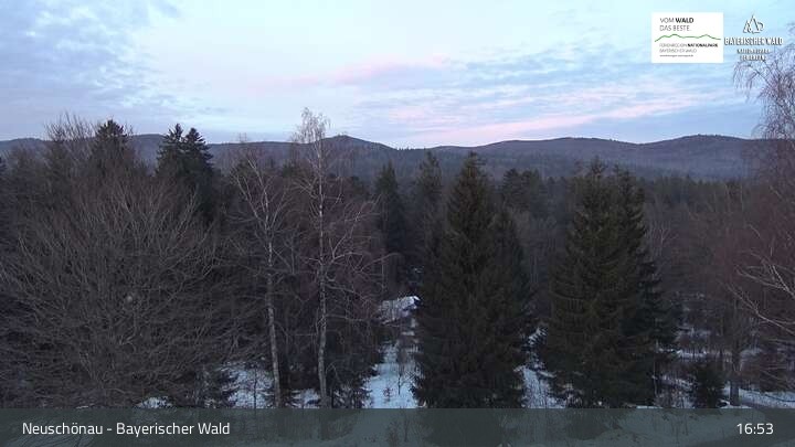 Archiv Foto Webcam Neuschönau - Besucherzentrum Nationalpark Bayerischer Wald