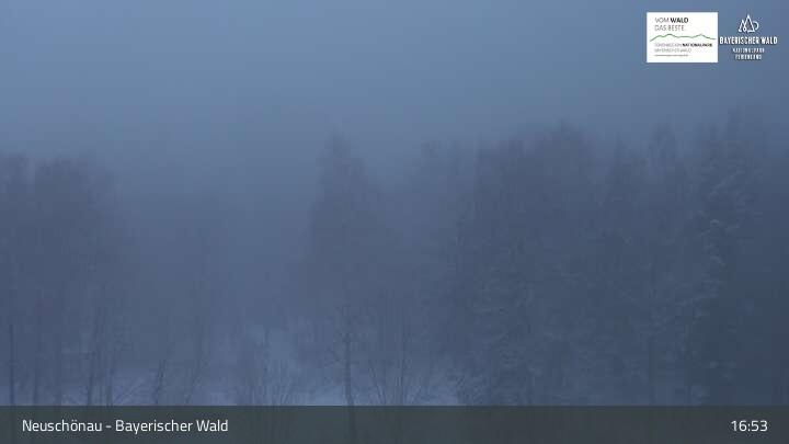 Archiv Foto Webcam Neuschönau - Besucherzentrum Nationalpark Bayerischer Wald
