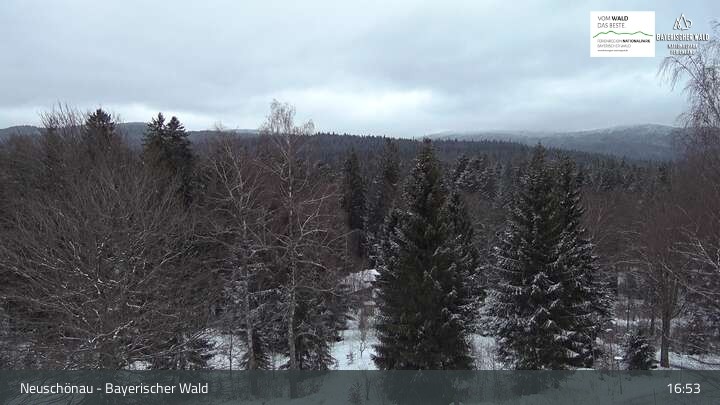 Archiv Foto Webcam Neuschönau - Besucherzentrum Nationalpark Bayerischer Wald