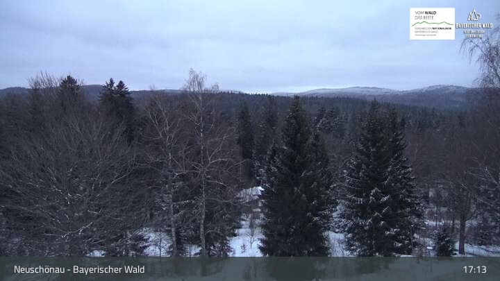 Archiv Foto Webcam Neuschönau - Besucherzentrum Nationalpark Bayerischer Wald