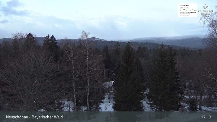 Archived image Webcam Neuschönau - Visitor center Lusen National Park