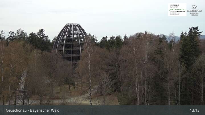 Archiv Foto Webcam Neuschönau - Besucherzentrum Nationalpark Bayerischer Wald