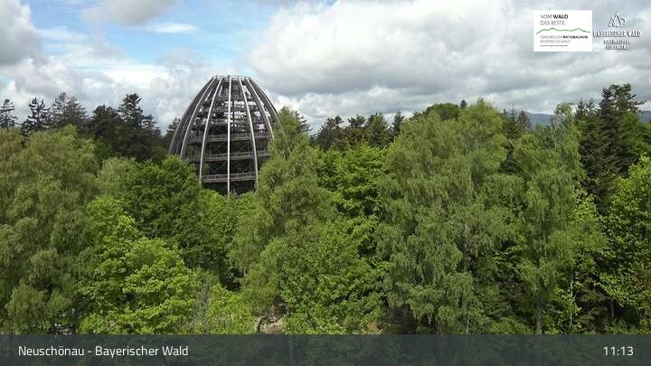 Archiv Foto Webcam Neuschönau - Besucherzentrum Nationalpark Bayerischer Wald