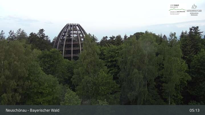 Archiv Foto Webcam Neuschönau - Besucherzentrum Nationalpark Bayerischer Wald