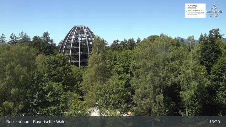 Archiv Foto Webcam Neuschönau - Besucherzentrum Nationalpark Bayerischer Wald