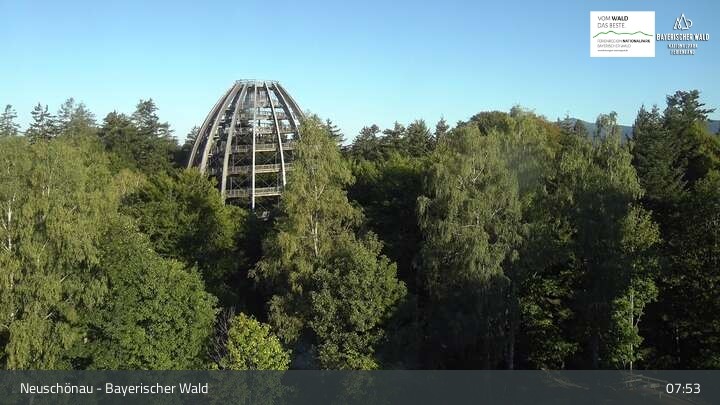 Archiv Foto Webcam Neuschönau - Besucherzentrum Nationalpark Bayerischer Wald