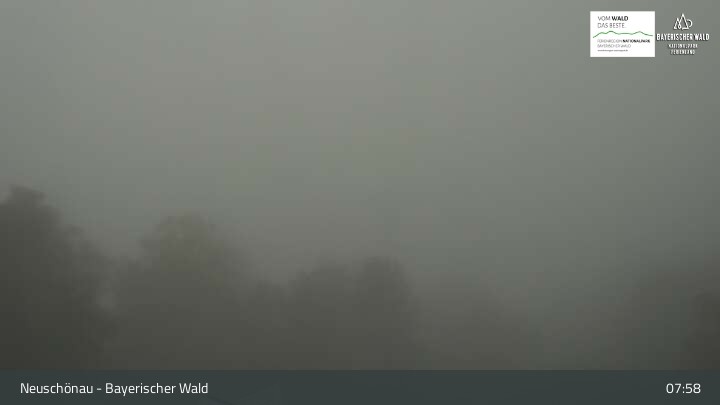 Archiv Foto Webcam Neuschönau - Besucherzentrum Nationalpark Bayerischer Wald