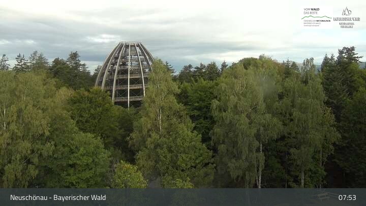 Archiv Foto Webcam Neuschönau - Besucherzentrum Nationalpark Bayerischer Wald