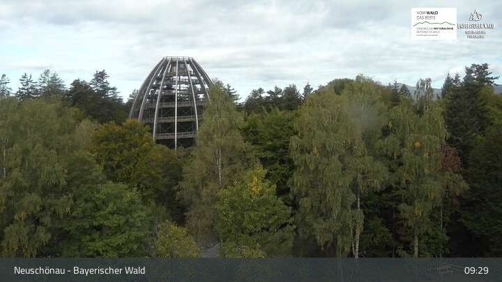Archived image Webcam Neuschönau - Visitor center Lusen National Park