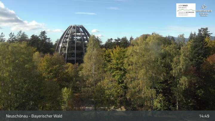 Archiv Foto Webcam Neuschönau - Besucherzentrum Nationalpark Bayerischer Wald