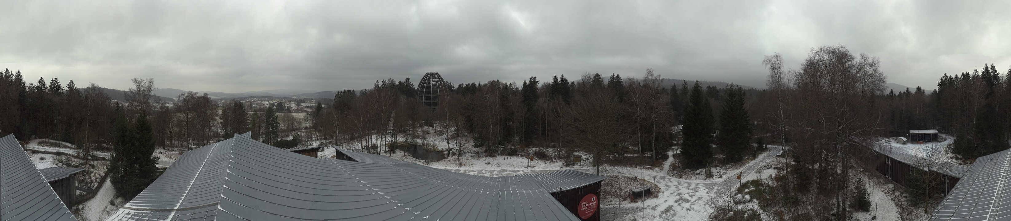 Archiv Foto Webcam Neuschönau - Baumwipfelpfad Bayerischer Wald