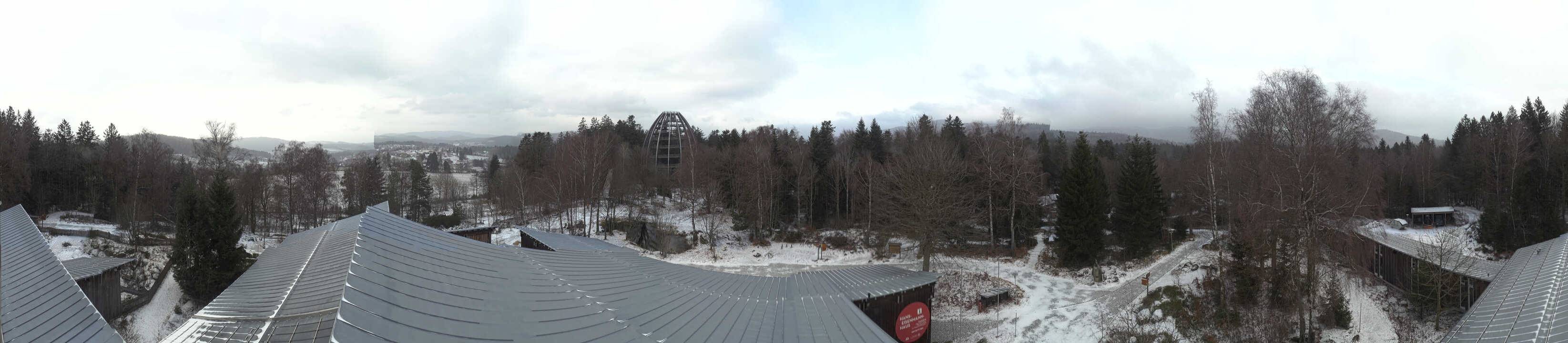 Archiv Foto Webcam Neuschönau - Baumwipfelpfad Bayerischer Wald