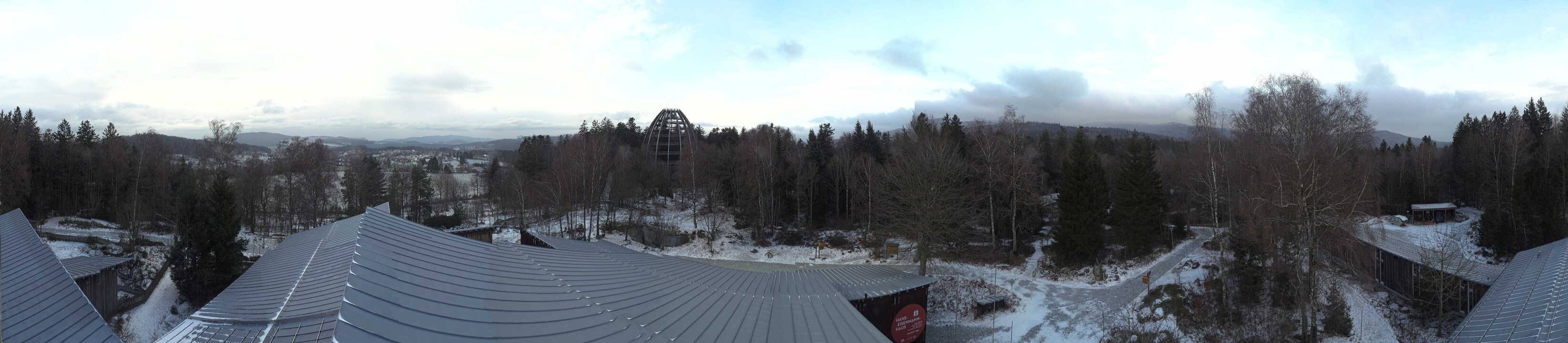 Archiv Foto Webcam Neuschönau - Baumwipfelpfad Bayerischer Wald