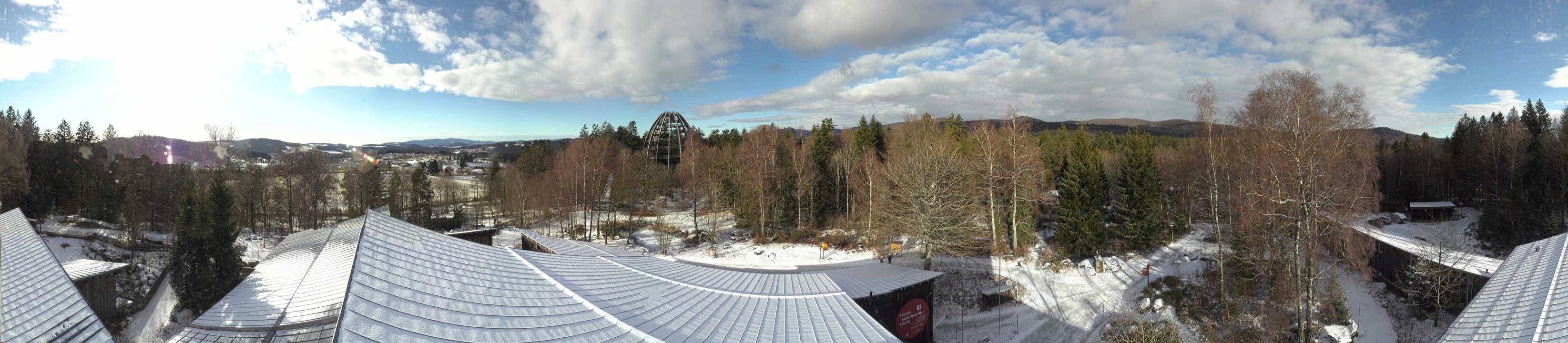 Archiv Foto Webcam Neuschönau - Baumwipfelpfad Bayerischer Wald
