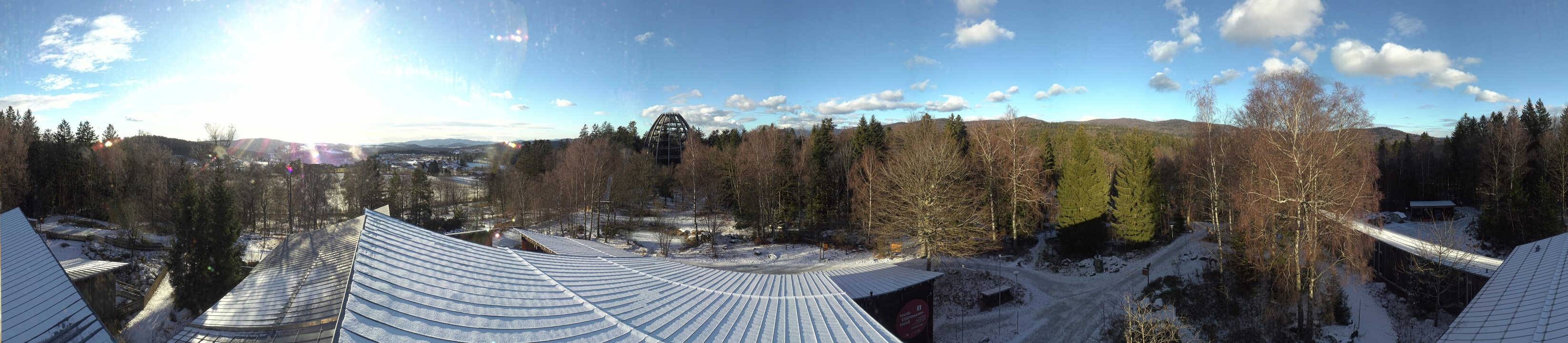Archiv Foto Webcam Neuschönau - Baumwipfelpfad Bayerischer Wald