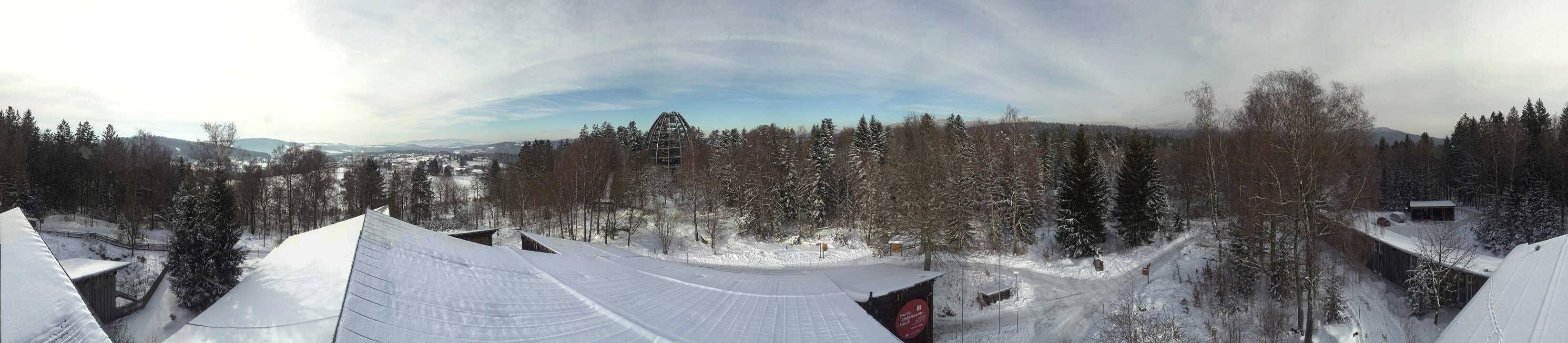 Archiv Foto Webcam Neuschönau - Baumwipfelpfad Bayerischer Wald