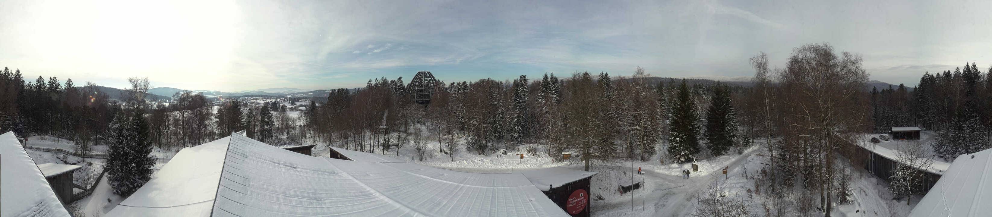 Archiv Foto Webcam Neuschönau - Baumwipfelpfad Bayerischer Wald