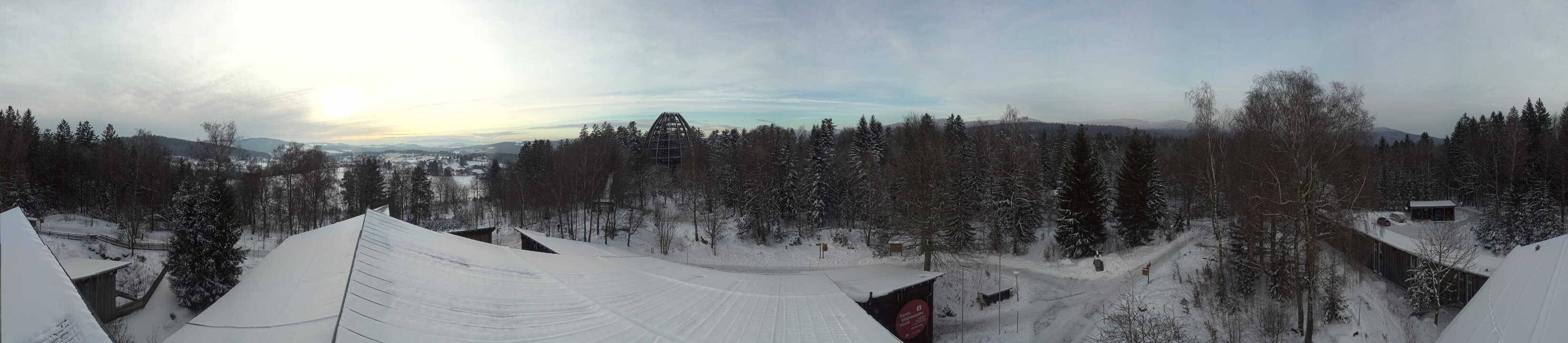 Archiv Foto Webcam Neuschönau - Baumwipfelpfad Bayerischer Wald