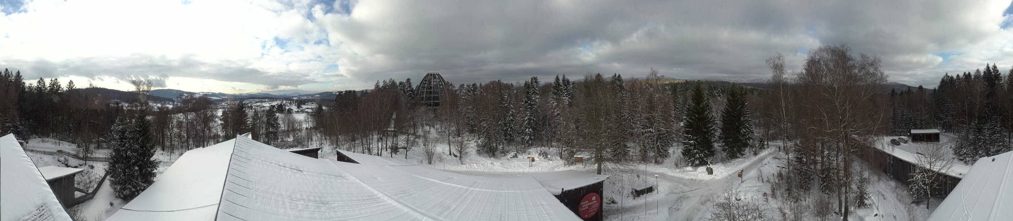 Archiv Foto Webcam Neuschönau - Baumwipfelpfad Bayerischer Wald