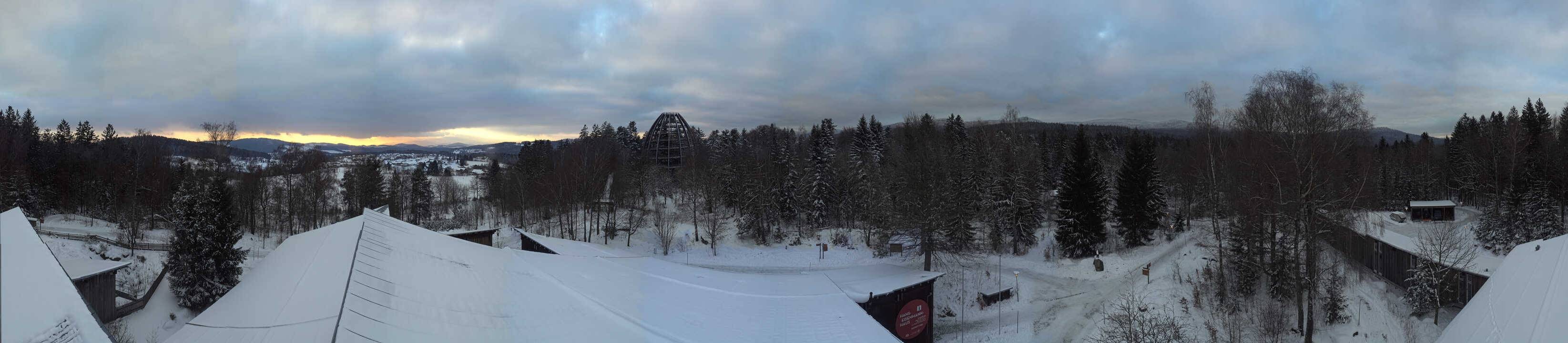 Archived image Webcam Neuschönau - Tree Top Walk Bavarian Forest