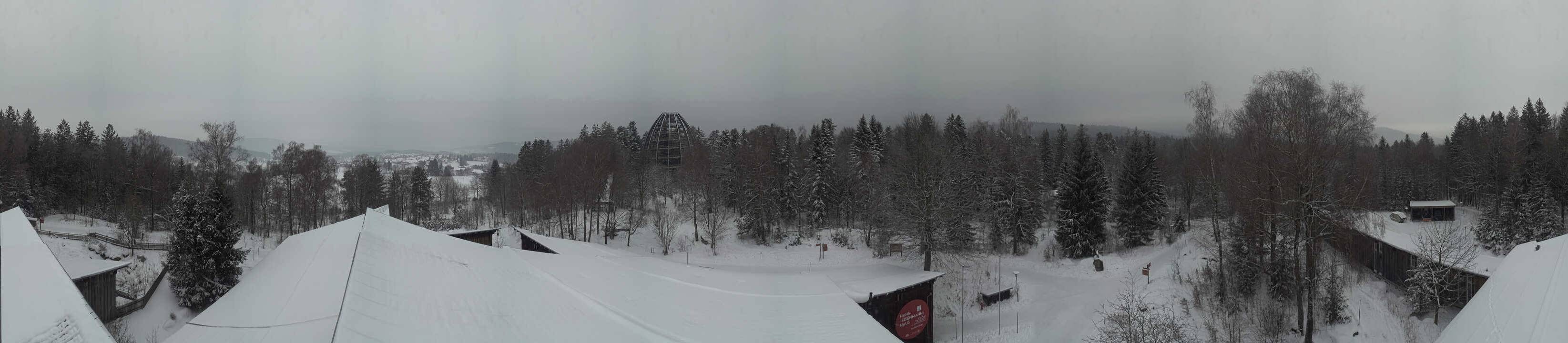 Archiv Foto Webcam Neuschönau - Baumwipfelpfad Bayerischer Wald