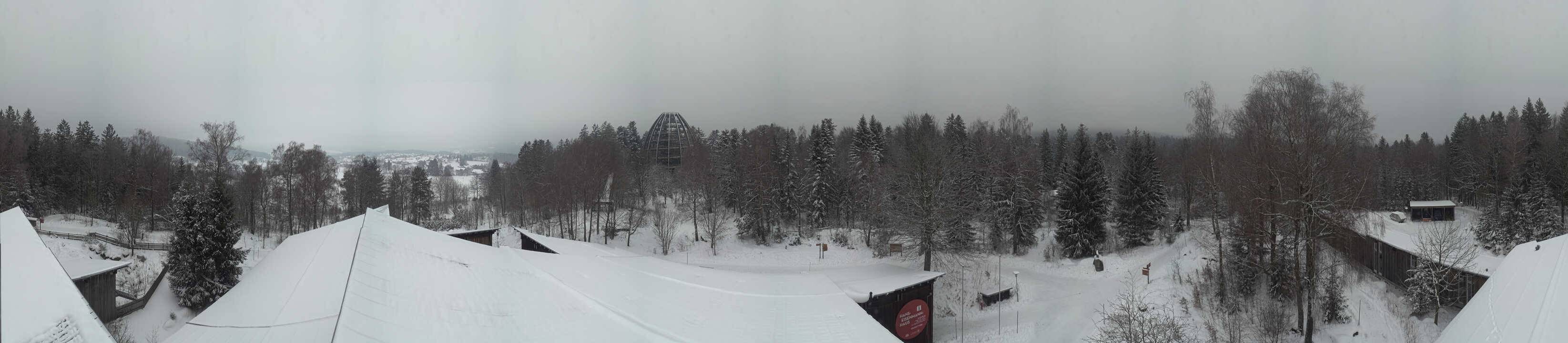 Archiv Foto Webcam Neuschönau - Baumwipfelpfad Bayerischer Wald