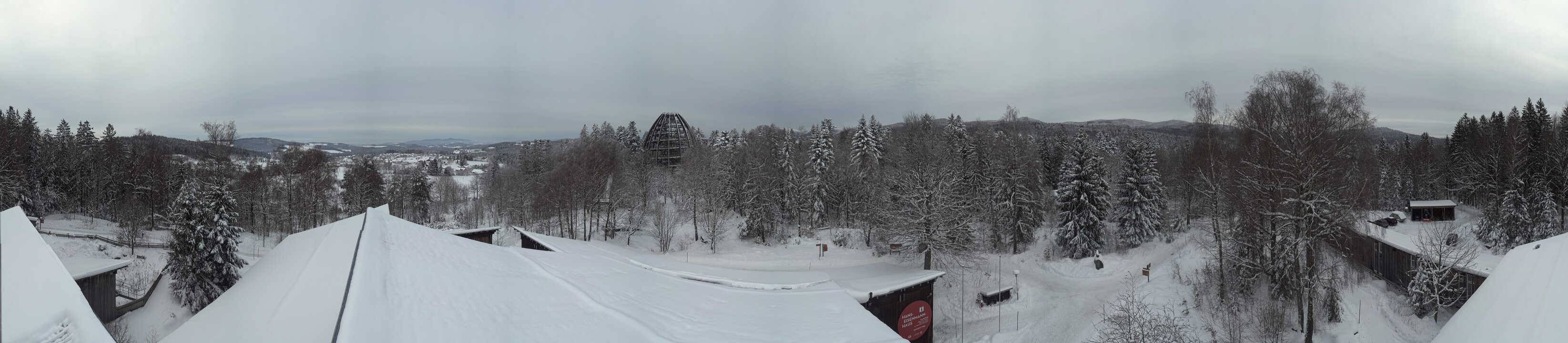 Archiv Foto Webcam Neuschönau - Baumwipfelpfad Bayerischer Wald