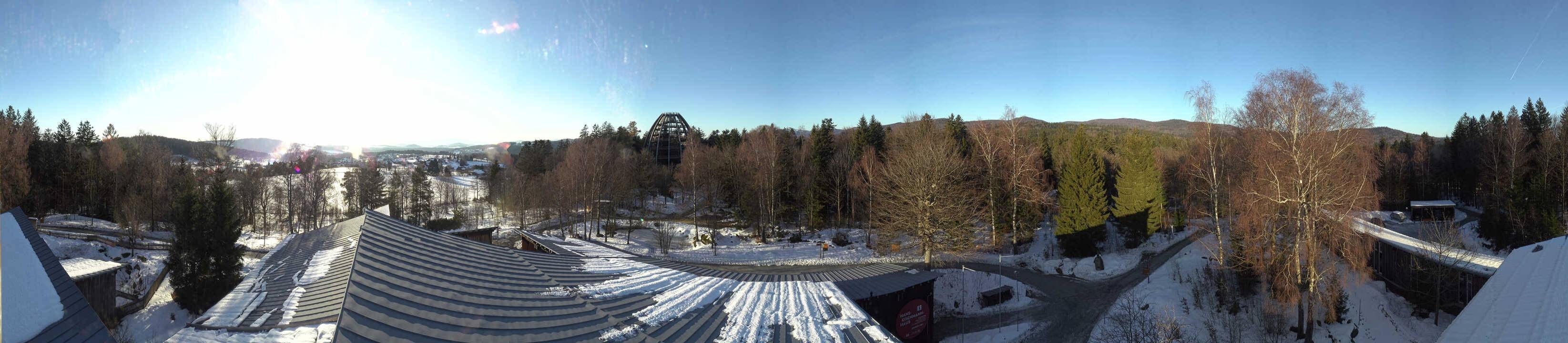 Archiv Foto Webcam Neuschönau - Baumwipfelpfad Bayerischer Wald