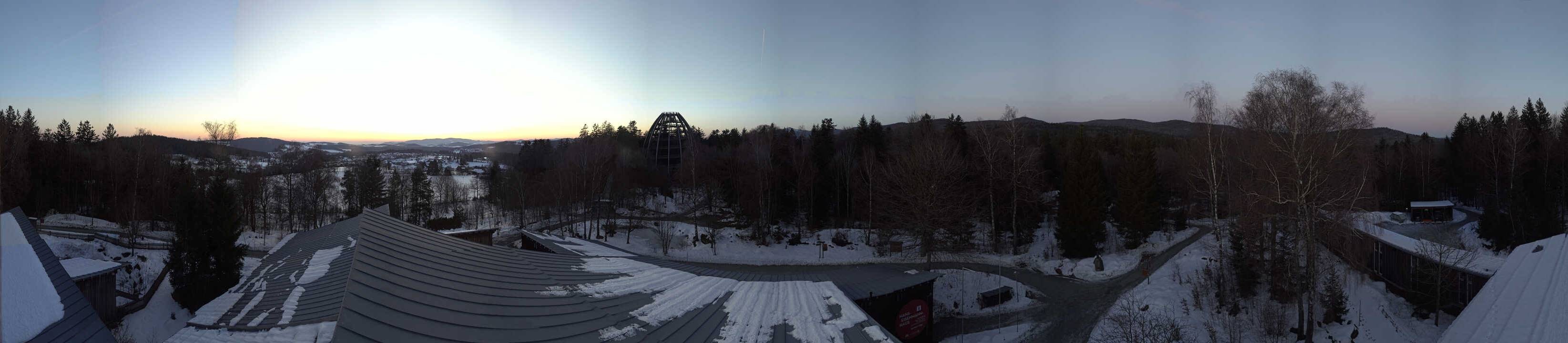 Archiv Foto Webcam Neuschönau - Baumwipfelpfad Bayerischer Wald