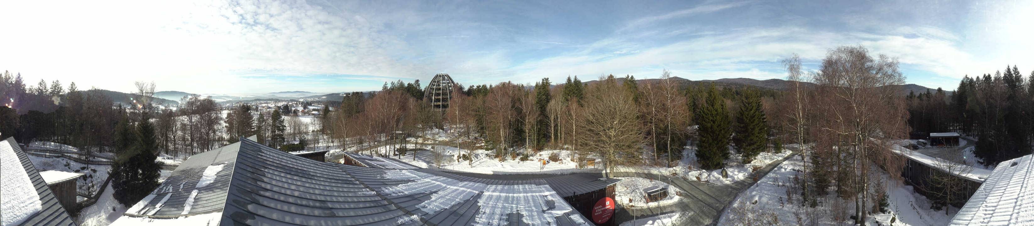 Archiv Foto Webcam Neuschönau - Baumwipfelpfad Bayerischer Wald