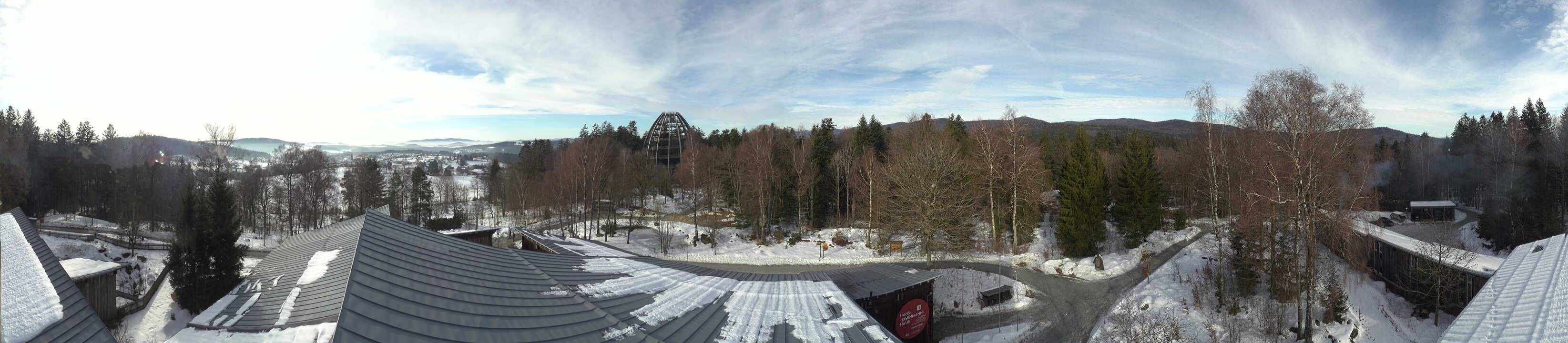 Archiv Foto Webcam Neuschönau - Baumwipfelpfad Bayerischer Wald