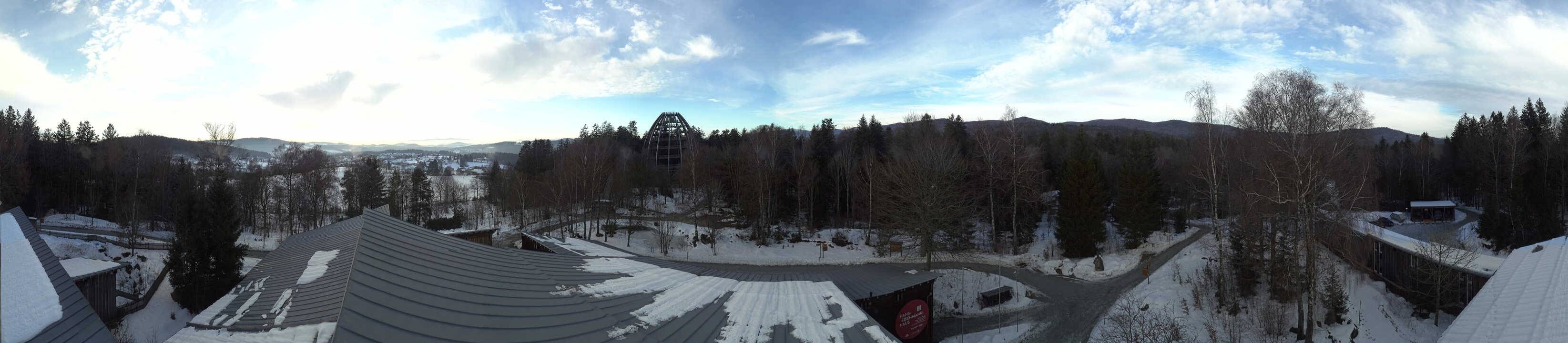 Archiv Foto Webcam Neuschönau - Baumwipfelpfad Bayerischer Wald