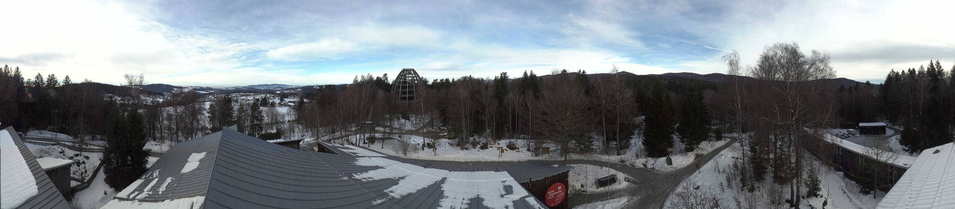Archiv Foto Webcam Neuschönau - Baumwipfelpfad Bayerischer Wald