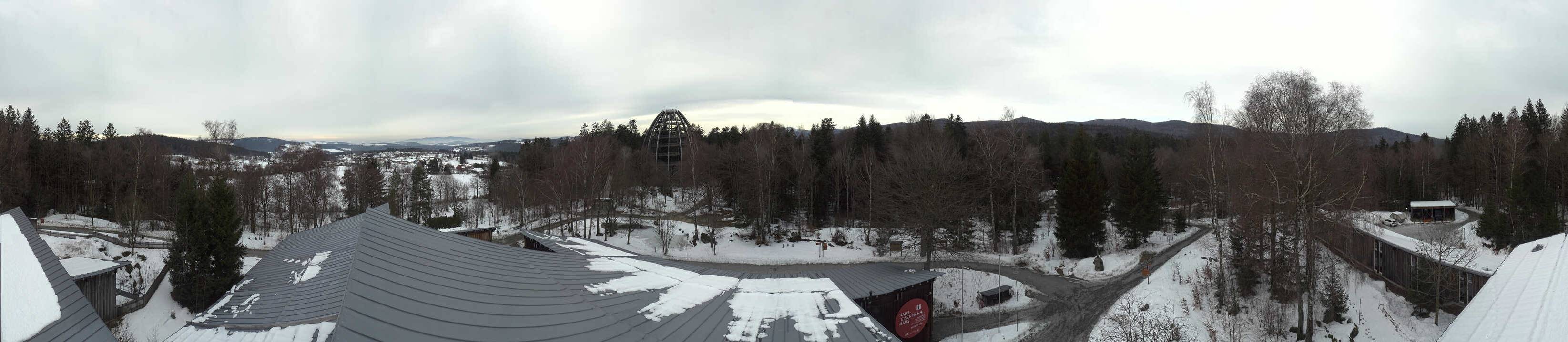 Archiv Foto Webcam Neuschönau - Baumwipfelpfad Bayerischer Wald