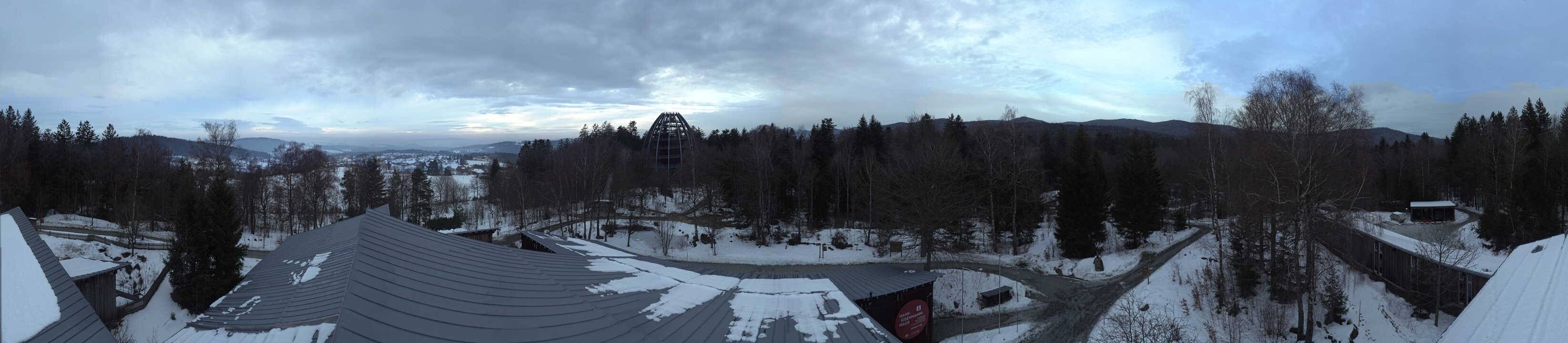 Archiv Foto Webcam Neuschönau - Baumwipfelpfad Bayerischer Wald
