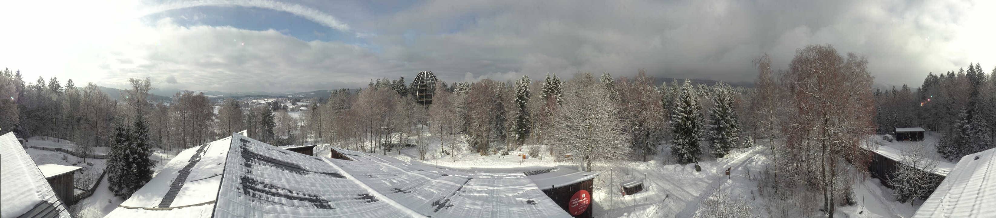 Archiv Foto Webcam Neuschönau - Baumwipfelpfad Bayerischer Wald